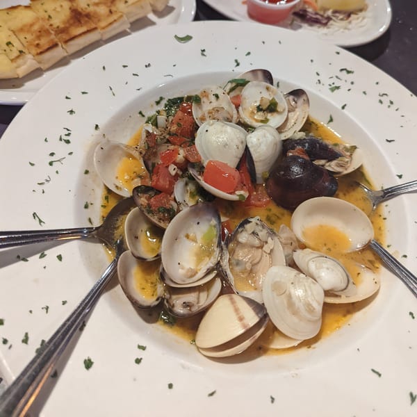 A white bowl of steamed clams in a savory broth with diced tomatoes and herbs, with garlic bread.